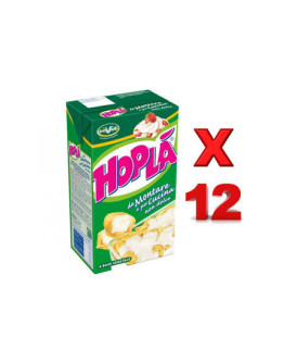 Hopla ŞEKERLİ ŞANTI 1 KGx12 KARTON KUTU 